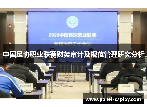 中国足协职业联赛财务审计及规范管理研究分析 中国足协职业联赛财务审计及规范管理研究分析