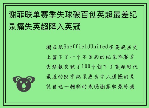 谢菲联单赛季失球破百创英超最差纪录痛失英超降入英冠 谢菲联单赛季失球破百创英超最差纪录痛失英超降入英冠