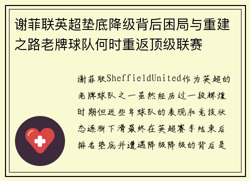 谢菲联英超垫底降级背后困局与重建之路老牌球队何时重返顶级联赛 谢菲联英超垫底降级背后困局与重建之路老牌球队何时重返顶级联赛
